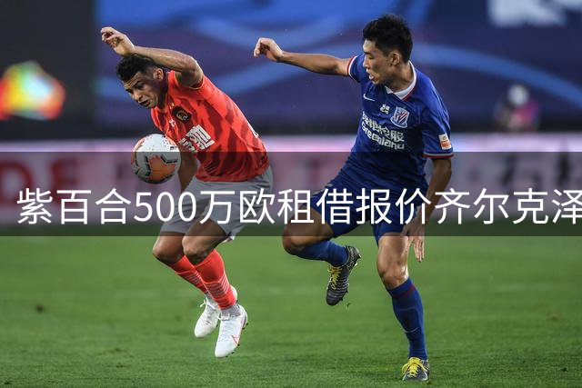 紫百合500万欧租借报价齐尔克泽 含选择性买断条款